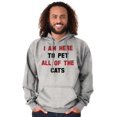 thumbnail image 5 of I Am Here to Pet All of the Cats Hoodie Sweatshirt Women Men Brisco Brands X, 5 of 6