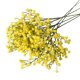 thumbnail image 1 of Xiao Hua 15 flores artificiales de aliento de bebé, ramo de gypsophila artificial de tacto real para arreglos florales de boda, fiestas, decoración del hogar (amarillo), 1 of 5