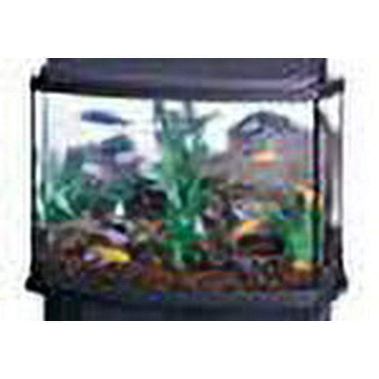 Oceanic fish tank online