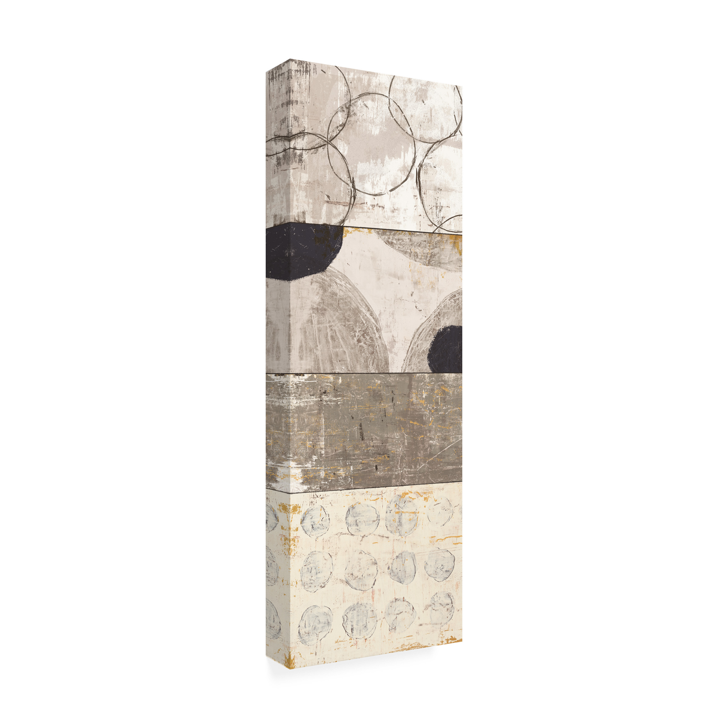 Trademark Fine Art 'Scorched Earth III' Canvas Art by Michael Mullan