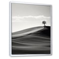 thumbnail image 2 of Designart "Desert Scenery In Black And White" Meadow Floater Framed Canvas Prints, 2 of 5