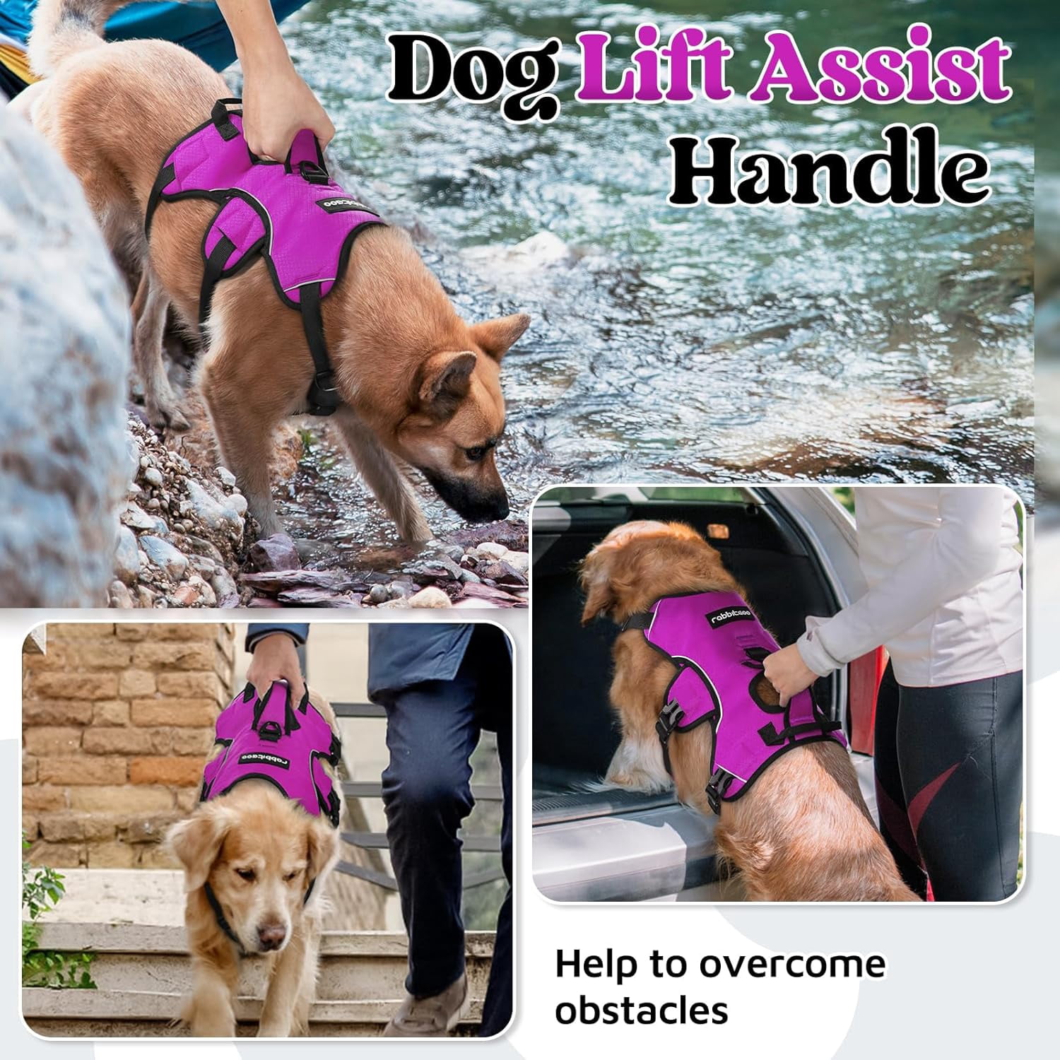 rabbitgoo Escape Proof Dog Harness, Soft Padded Full Body Pet Harness, Reflective Adjustable No Pull Vest with Lift Handle and Lesh Clip for Large Dogs Walking Hiking Training, Purple
