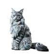 thumbnail image 4 of Figura de gato de Maine, escultura decorativa, modelo realista de gato sentado Estilo C, 4 of 8