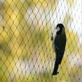 thumbnail image 1 of 5*15M Extra Strong Anti Bird Netting Garden Black Nylon, 1 of 8