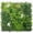 Greenery 2, variant on ODTORY Artificial Greenery Grass Wall Panel, 20"x20" 4 Pieces UV-Anti Faux Boxwood Hedge Privacy Fence Screen for Indoor Outdoor Backdrop Decor
