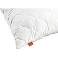 thumbnail image 2 of Sleepling Comfort 196144 Lot de 2 Oreillers en Microfibre 65 X 65 cm, Blanc, 2 of 4