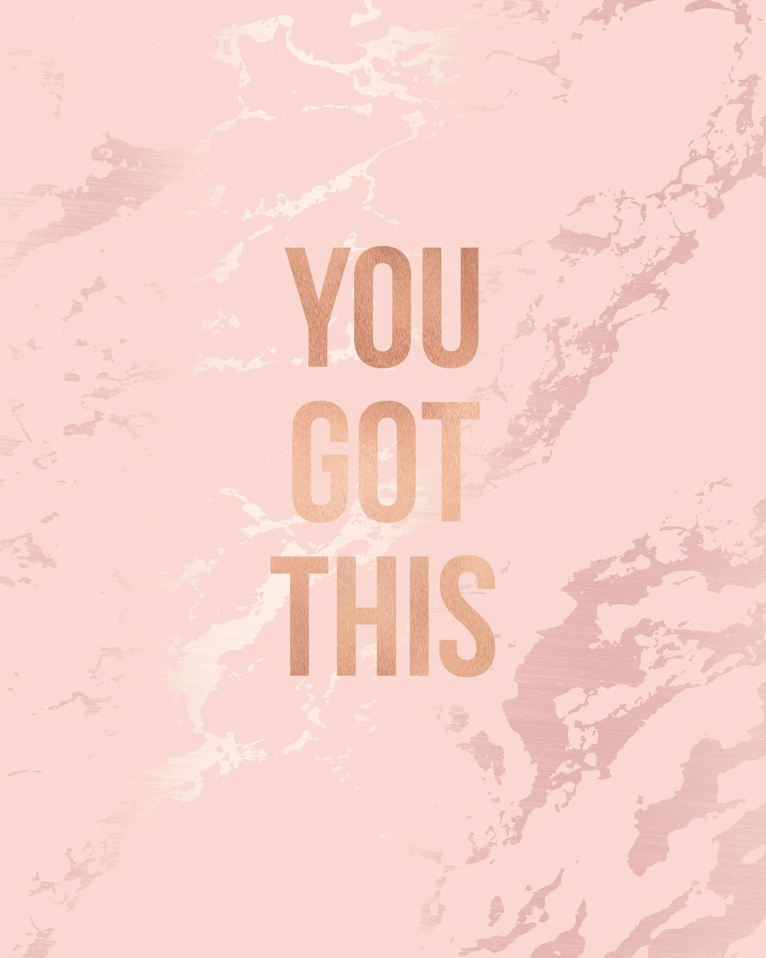 You Got This: Inspirational Quote Notebook, Soft Pink Marble and Rose ...