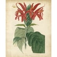 thumbnail image 3 of Edmonston and Douglas 15x18 Black Modern Framed Museum Art Print Titled - Tropical Floral V, 3 of 5