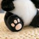 thumbnail image 3 of Panda de dibujos animados de peluche de juguete lindo Panda muñeca decorativa para niños niñas (sentado 25 cm) Sywqhk libre de BPA, 3 of 8