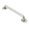Moen Home Care Bathroom Safety 24-Inch Grab Bar with Concealed Screws, Peened