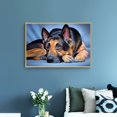 thumbnail image 3 of Wdftyju Perro acostado 5D DIY Diamond Painting Kits Full Square Drill Mosaic (40x50cm) Wdftyju 7qd0vd3hb5uh4ld4D03, 3 of 9