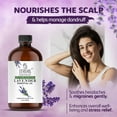 thumbnail image 3 of TRATAK ORGANICS Lavender Bulgaria Essential Oil 4 oz, Undiluted for Aromatherapy & Diffuser (Pack of 2), 3 of 8
