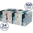 thumbnail image 1 of Royale Original 2 Ply Facial Tissue, 24 Tissue Boxes, 100 Tissues per Box, 1 of 6