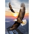 thumbnail image 2 of America Forever Soaring Bald Eagle Summer Garden Flag 12.5 x 18 inches Sunset Flying Bird Duo Double Sided Seasonal Yard Outdoor Decorative American Eagle Garden Flag, 2 of 5
