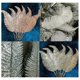 thumbnail image 4 of Ounissouiy Adorno de plumas de Navidad de 6 piezas, adorno extraíble reutilizable para restaurante, boda, centro comercial, accesorios de Type6 NO6, 4 of 6