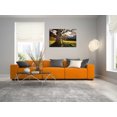 thumbnail image 4 of Epic Art 'The Star' by Martin Podt, Acrylic Glass Wall Art, 36"x24", 4 of 5