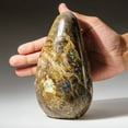 thumbnail image 2 of Genuine Fancy Jasper Freeform From Madagascar (3 lbs), 2 of 3