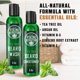 thumbnail image 3 of Set de limpiador y acondicionador para barba Viking Revolution Tea Tree, 3 of 7