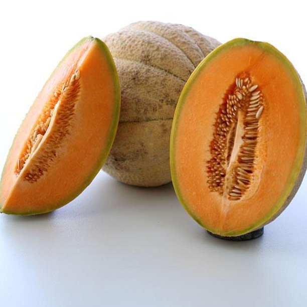 Tuscany Melon Seed 1/4 LB Bulk 3,920 Seeds Heirloom, Open