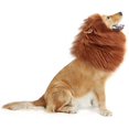 thumbnail image 1 of Lion Mane Para Perro Grande Mediano Con Orejas Ropa Decorativa LingWen 1327533401715, 1 of 1