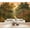 Color 4, variant on Wallpaper Tropical Forest Vibrant Foliage Serene River Woodland Peel and Stick Wall Murals 100"H x 144"W Removable PVC Wall Paper Self-Adhesive Wall Paintings Art Decor for Bedroom Living Room