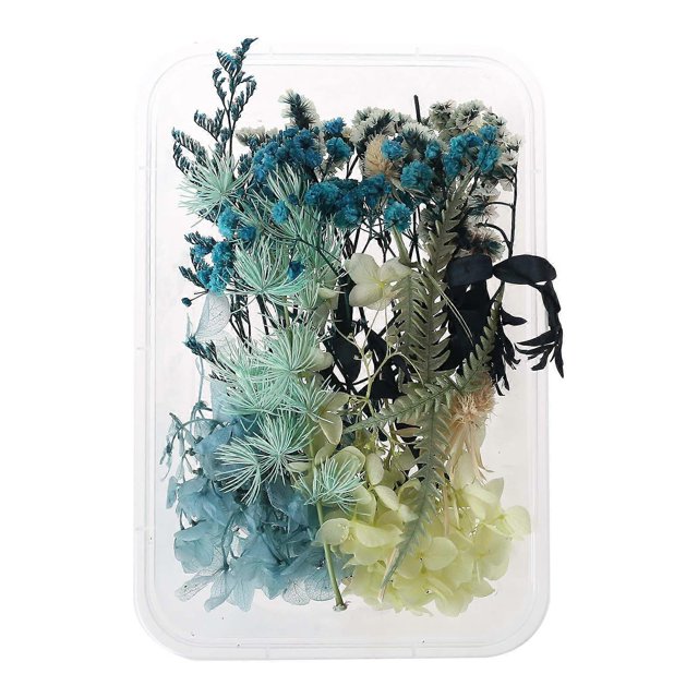 caja de flores secas mixtas reales para joyería de resina, plantas secas, flores prensadas
