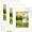 White Wood Grain, variant on Auralyn Home 12x16 Picture Frames Set of 3, Fits 8.5x11 with Mat or 12x16 Without Mat, Includes Hanging Kit, Wood Grain