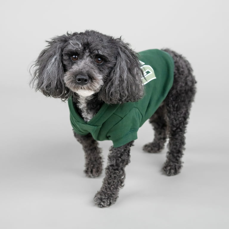 Hoodie Green Dog Coat Dog Hoodie Emerald Isle L