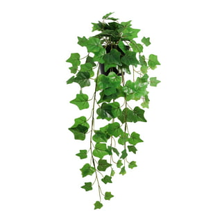 Yirtree Small Fake Hanging Plant, Artificial Potted Plant Faux Ivy Vine  Plant Hanging Plant Pothos for Shelf Home Office Indoor Outdoor Garden  Greenery Decor 41.34in 
