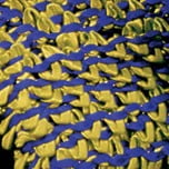 The Ribbon People Purple and Lime Green String Wired Craft Ribbon 0.5" x 27 Yards