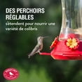 thumbnail image 3 of Perky-Pet Adjustable Perch Glass 20 oz Hummingbird Feeder, 3 of 9