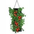 thumbnail image 5 of Organic Roma Tomato Seed Hanging Garden Kit - 3 Pocket Planter Bag with Coco Fiber Soil Block, 5 of 5