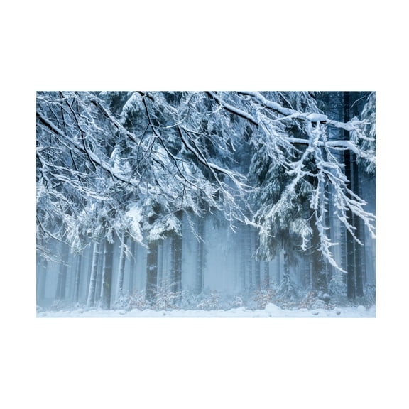 Canvas Wall Art - Anton van Dongen 'Snowworld' Wall Art for Living Room, Bedroom, or Office Décor by Trademark Fine Art - 19 x 12 Inches