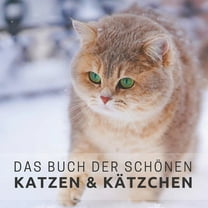 Bildbände Und Aktivitäten Für Senioren: Das Buch der schönen Katzen und Kätzchen (Paperback)