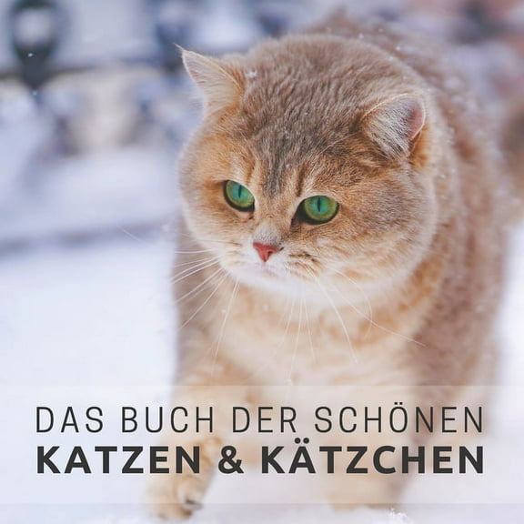 Bildbände Und Aktivitäten Für Senioren: Das Buch der schönen Katzen und Kätzchen (Paperback)