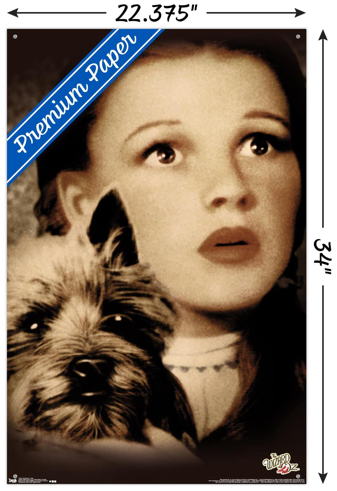The Wizard Of Oz - Duo Wall Poster with Push Pins, 22.375" x 34"
