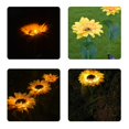 thumbnail image 3 of De Girasol Luz De Estaca De Jardín Luz Led Impermeable Para La Decoración De La Pasarela Del Porche De La Yarda Guardurnaity HA043062-01, 3 of 6