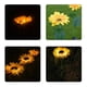 thumbnail image 3 of De Girasol Luz De Estaca De Jardín Luz Led Impermeable Para La Decoración De La Pasarela Del Porche De La Yarda sonducket HA043062-01, 3 of 6