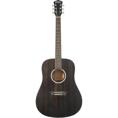 Washburn DFED Deep Forest Dreadnought Acoustic Guitar, Striped Ebony