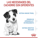 thumbnail image 3 of Royal Canin Small Puppy 0.341 Kg Original Sellado blanco, 3 of 3