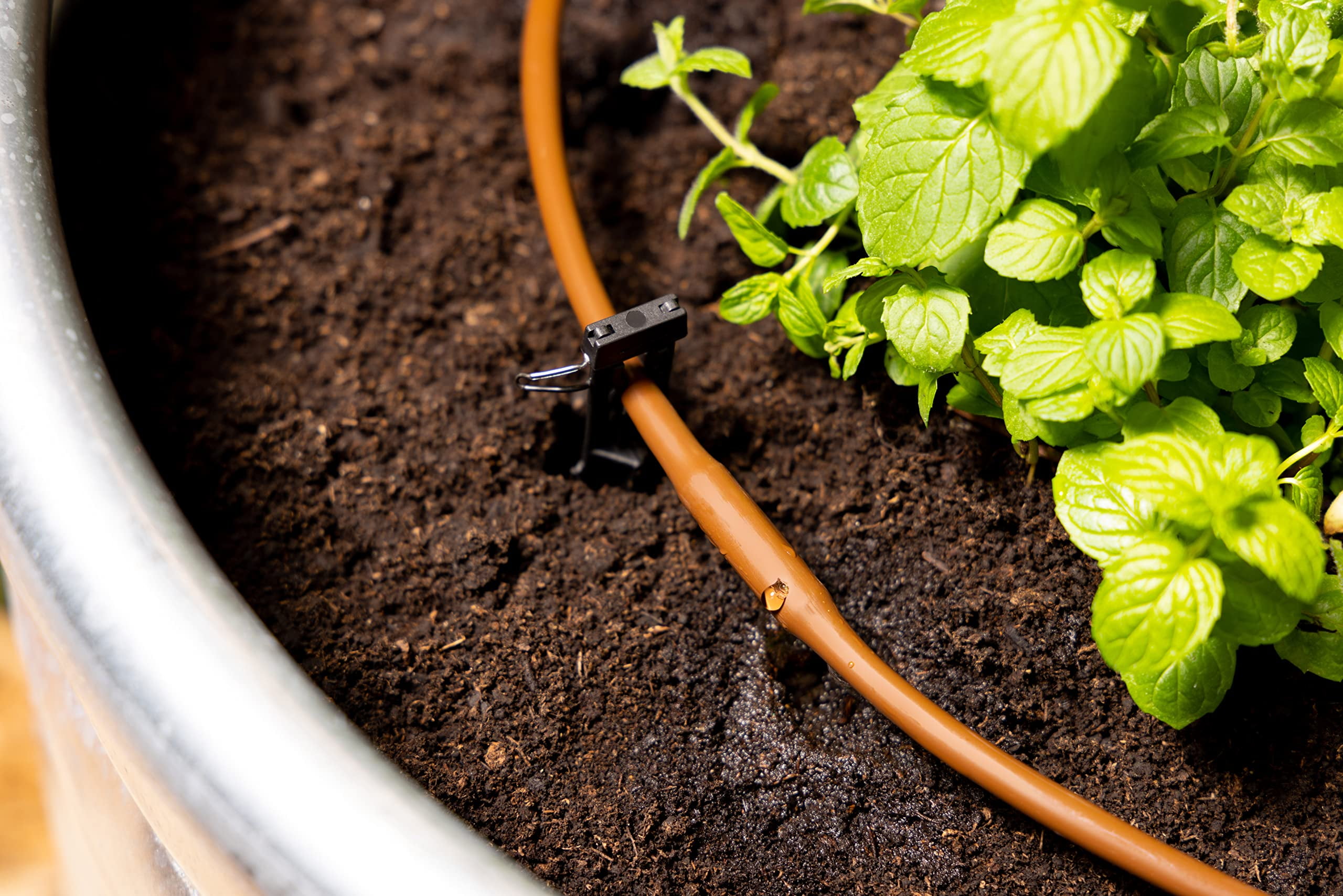 sprinkler system installation cost Toronto residential sprinkler installation