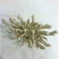 thumbnail image 4 of Abbott Collection 3D Starfish, White (Large), 4 of 7