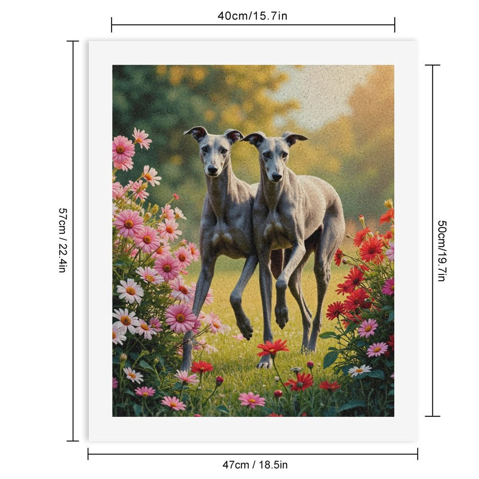 Paint By Numbers Kit for Adults Beginner - Greyhounds Amid Blooming Flowers DIY Canvas Painting Kits for Adults, Frameless Paint By Number for Adults for Home Wall Decor 16x20 Inch