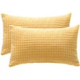 thumbnail image 1 of Dinheiro Fundas de Almohada Decorativas, Juego de 2 Fundas de Almohada Lumbares de Pana Suave, Funda de cojín para decoración del hogar para sofá, Cama, sofá, Dormitorio, Coche, 1 of 6