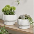 thumbnail image 4 of White Ceramic Ribbed Planters (2 Count), 4 of 7