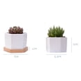 thumbnail image 4 of juegos de macetas para cactus, macetas hexagonales, contenedores para suculentas, macetas de cerámica para suculentas, mini macetas para suculentas, macetas para cactus, 4 of 6