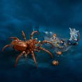 thumbnail image 2 of LEGO Harry Potter Aragog in the Forbidden Forest 76434 Ensemble de construction (195 pièces), 2 of 5