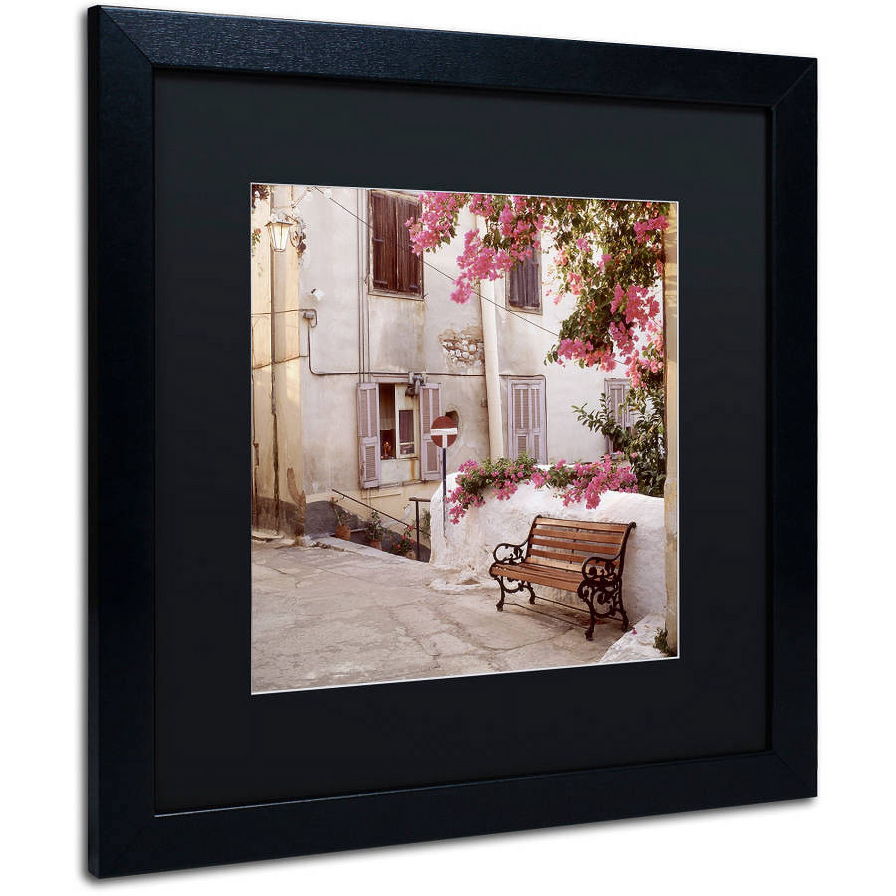 Trademark Fine Art "Provence I" Canvas Art by Alan Blaustein, Black Matte, Black Frame