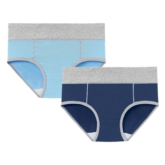 Seductiva Clothing Comfortable Women's Underwear Women's Cotton Underwear High Waist Briefs Soft Underpants Ladies Full Coverage 2 Pack
