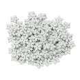 thumbnail image 1 of 4x100pcs novedoso copos de nieve blancos Botones de madera adornados para la artesanía de 17 mm 6 piezas, 1 of 6